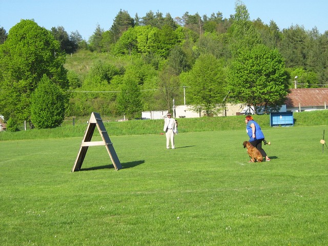 www.atibox.net * www.euroboxer.eu * www.boxergenealogia.eu